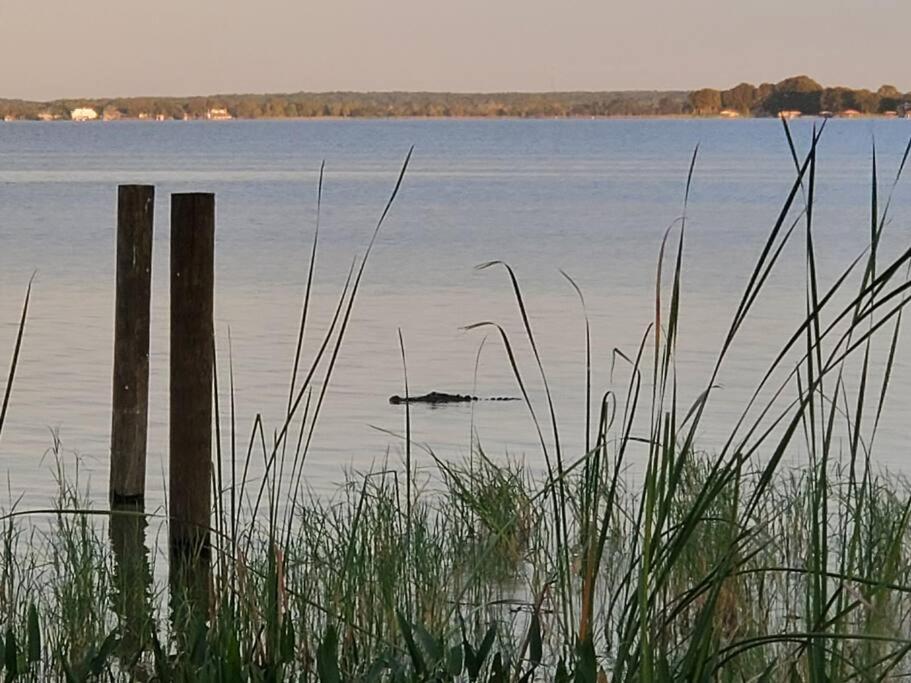 Camp St. Cabanas Unit 2 On Lake Dora Tavares Exterior foto